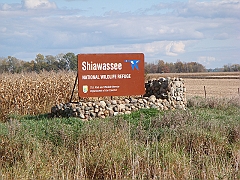 31 Shiawassee National Wildlife Refuge [2008 Nov 5]